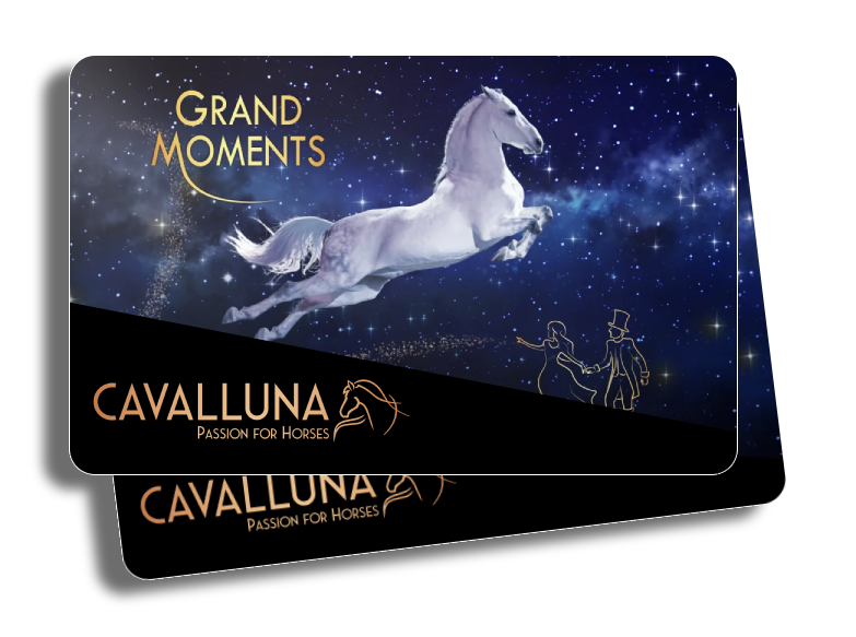 Dieses Bild zeigt einen Preis